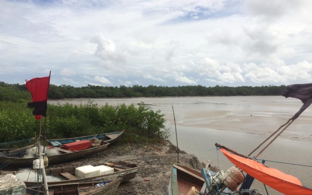 Desigualdade ambiental e saneamento básico: um olhar a partir de uma Reserva Extrativista na Amazônia